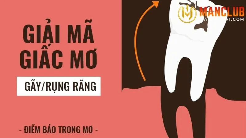 mo gay rang danh con gi 3 Mơ gãy răng đánh con gì trong các tình huống khác